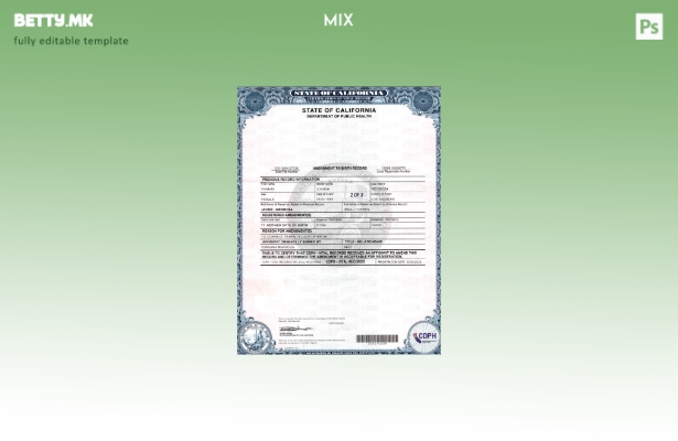 модерен стил САД Калифорнија Амандман на шаблон страници за евиденција за раѓање